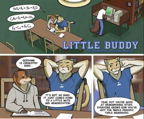 gay furry comic porn|Gay Furry Comics 